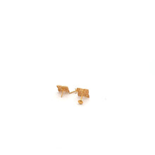 Load image into Gallery viewer, 18K Gold Earrings Screw Type - Rafant