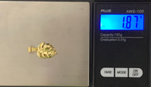 Load image into Gallery viewer, New Real 18K Japan Gold Leaf Pendant - Rafant