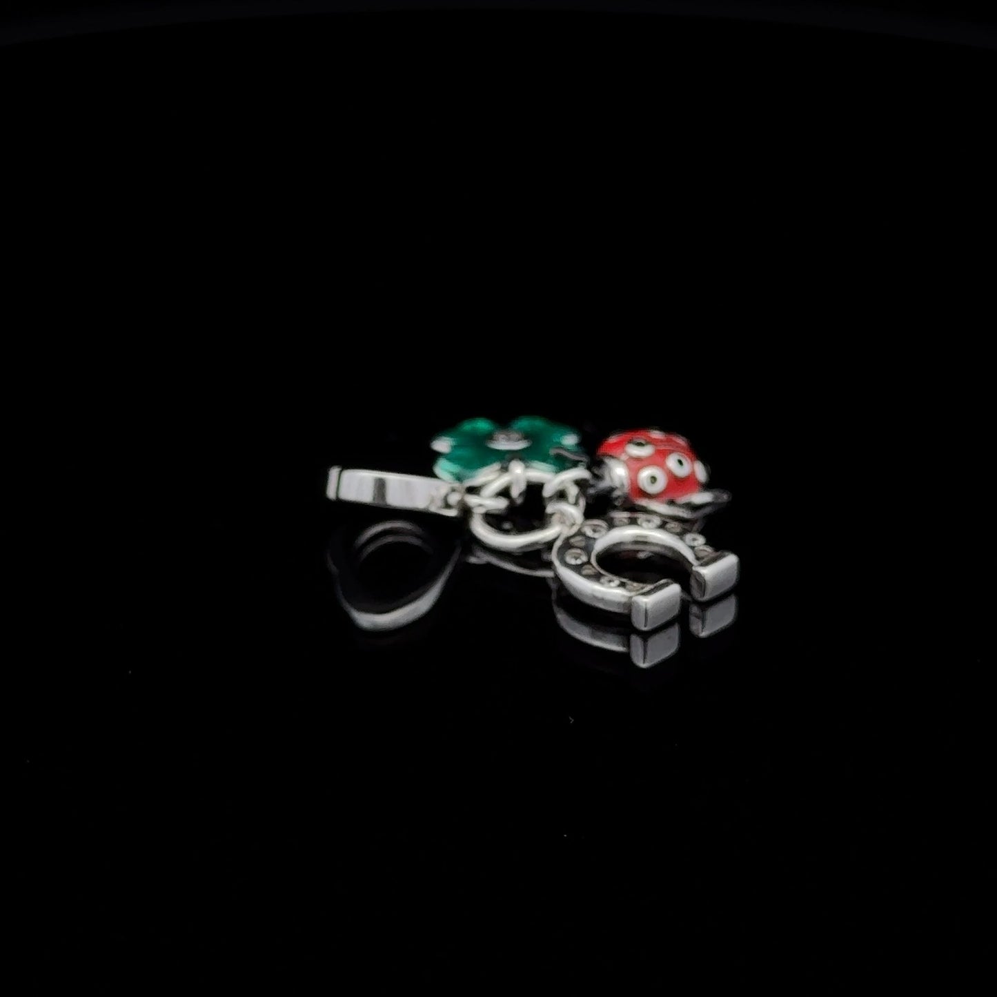 925 Sterling Silver Charm Bead Insect Beetle Horseshoe Flower For Charm Bracelet Necklace - Rafant
