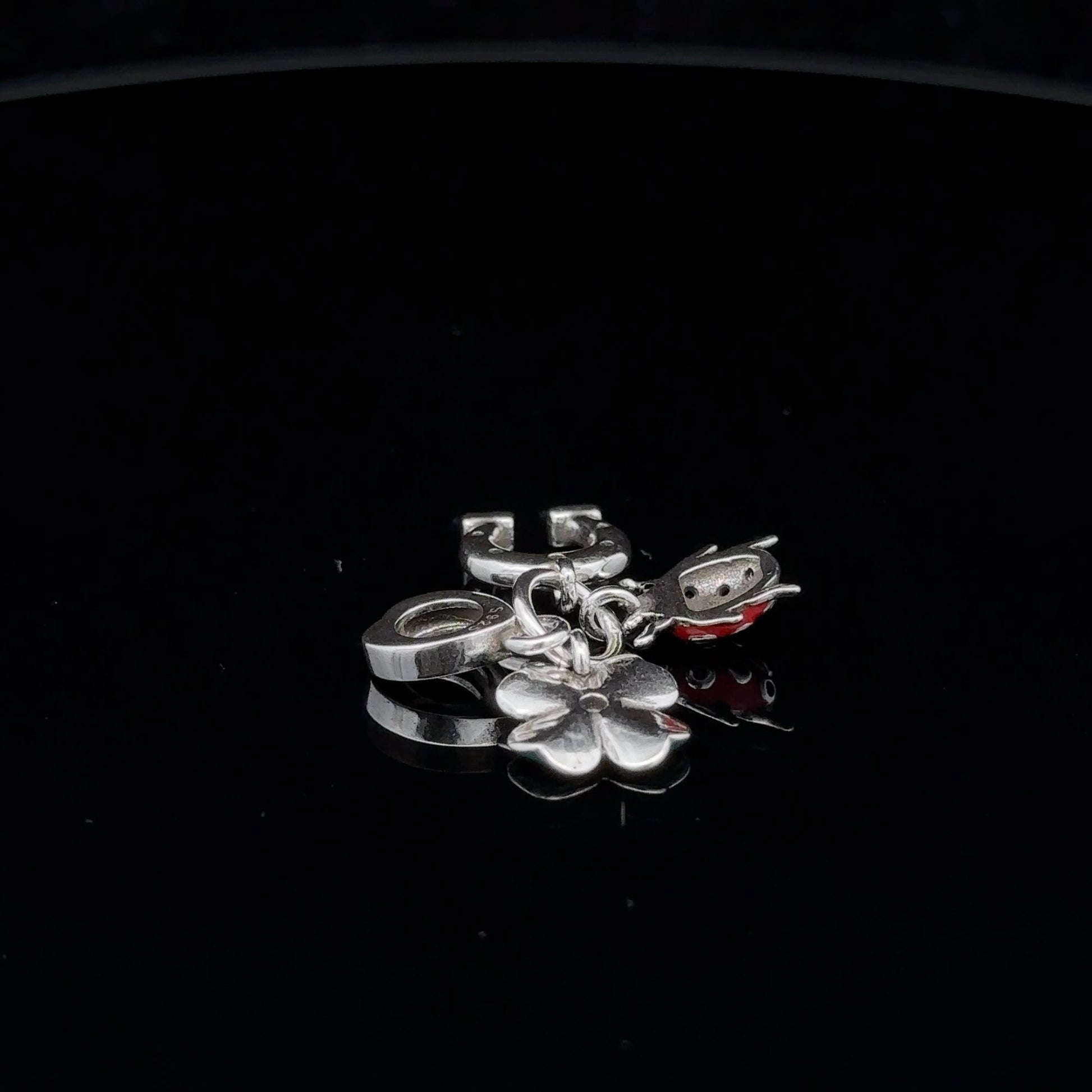 925 Sterling Silver Charm Bead Insect Beetle Horseshoe Flower For Charm Bracelet Necklace - Rafant