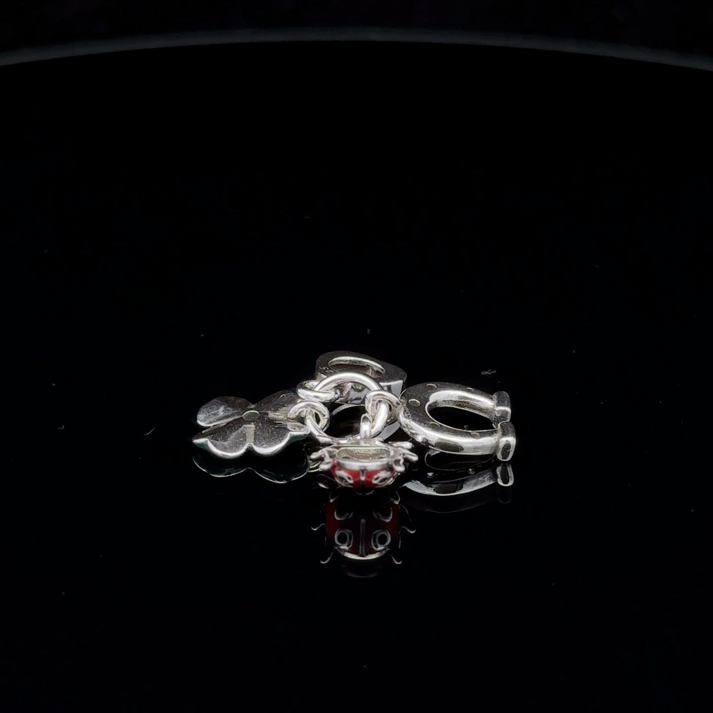 925 Sterling Silver Charm Bead Insect Beetle Horseshoe Flower For Charm Bracelet Necklace - Rafant