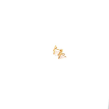 Load image into Gallery viewer, 18K Gold Earrings Screw Type Airplane - Rafant
