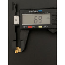 Load image into Gallery viewer, 18K Gold Earrings Stud Horse 1.03 grams - Rafant
