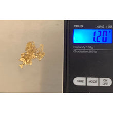 Load image into Gallery viewer, 18k Gold Necklace Cable Link Chain 15.75&quot; with Dolphin Pendant - Rafant
